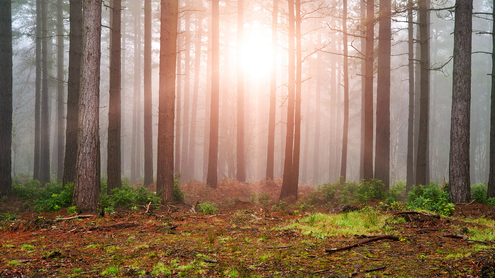 Fun Activities In Hocking Hills - Bourbon Ridge Retreat